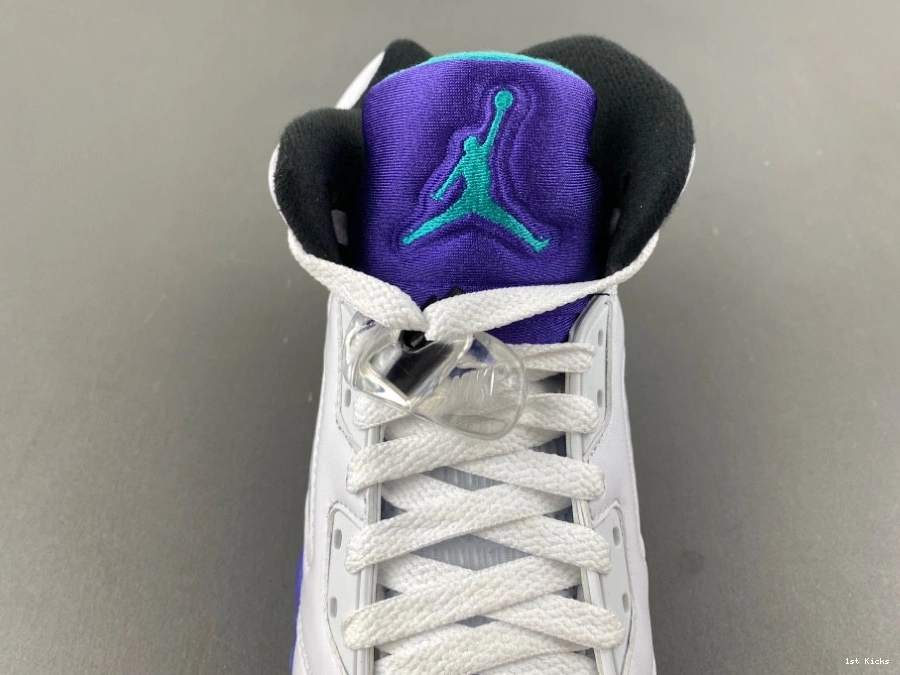 HQ7980-100 - (2025) (GS) Grape 5 Jordan Retro 0901